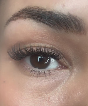 Ultra Lash Startkit – Muse (Pre-order)